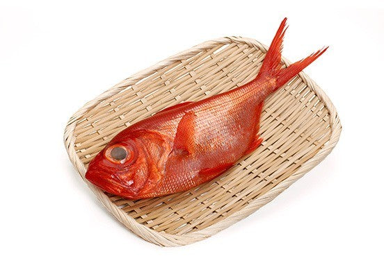 Alfonsino